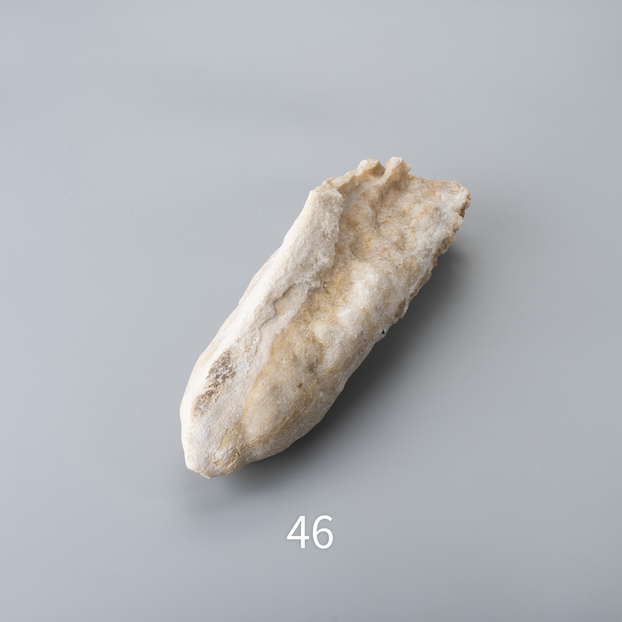 潛能開發者-鐘乳石(二之二：182g-12020g) - Violet Twin Flames | 雙生紫焰