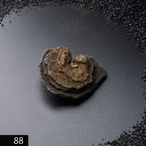 ⭐️宇宙下單器 – 亞特蘭提斯繁星石(三之二：120g-164g)：圖片 56
