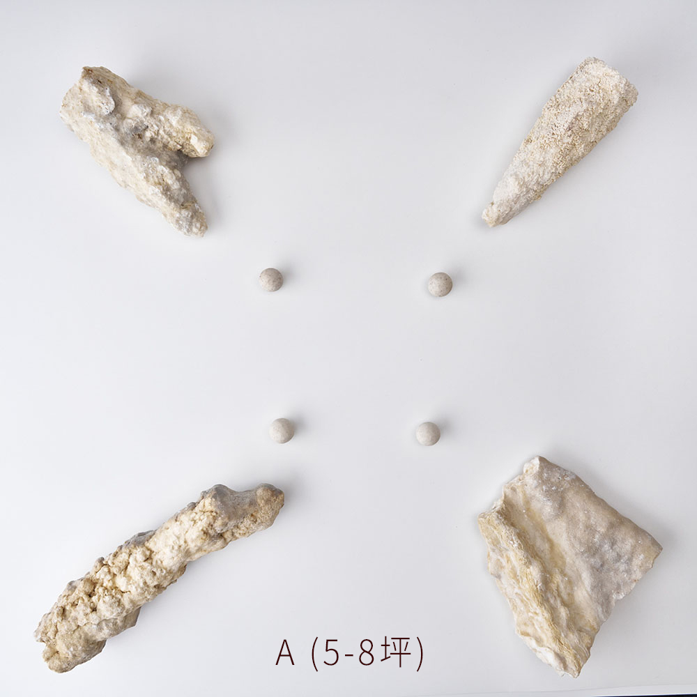 ⭐️光域潛能覺醒結界:圖片 2