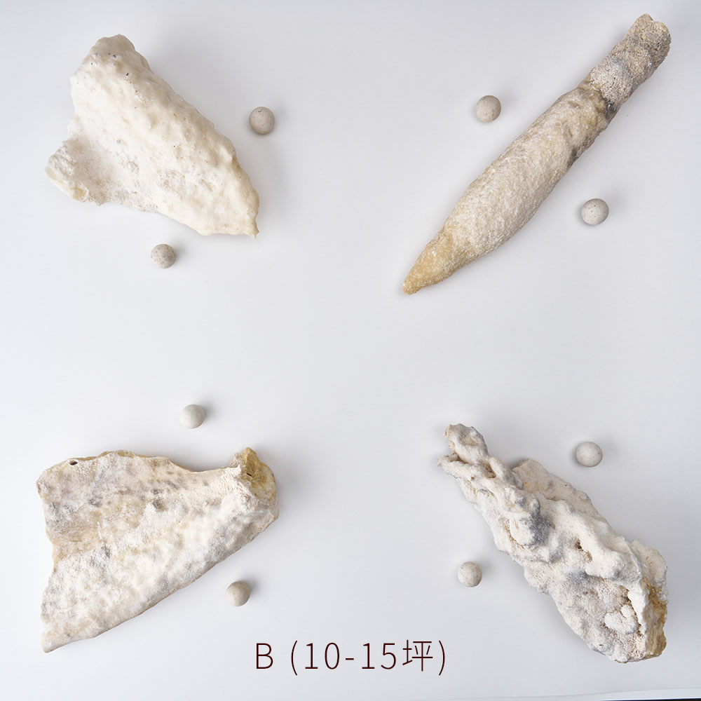 ⭐️光域潛能覺醒結界:圖片 3