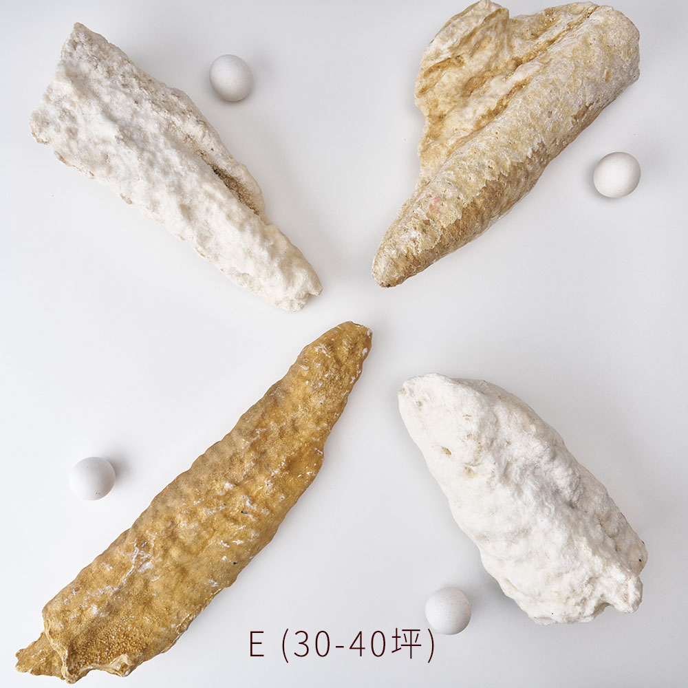 ⭐️光域潛能覺醒結界:圖片 6