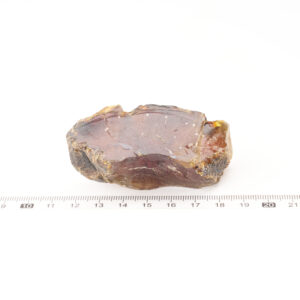 ⭐️自信偏財石-藍黃琥珀(10-319g)